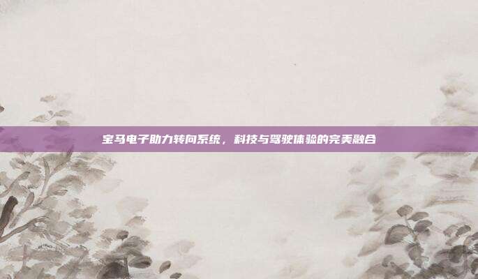 宝马电子助力转向系统，科技与驾驶体验的完美融合