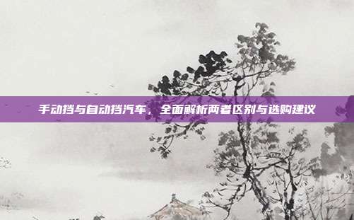 手动挡与自动挡汽车，全面解析两者区别与选购建议