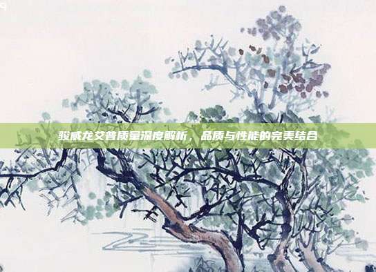 骏威龙艾普质量深度解析，品质与性能的完美结合