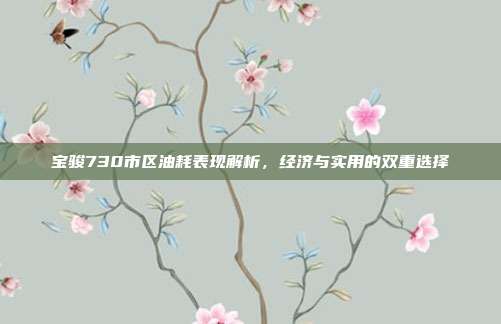 宝骏730市区油耗表现解析，经济与实用的双重选择