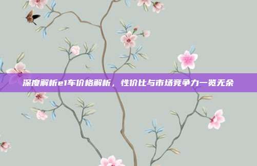 深度解析e1车价格解析，性价比与市场竞争力一览无余