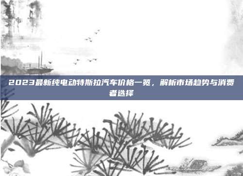 2023最新纯电动特斯拉汽车价格一览，解析市场趋势与消费者选择