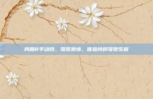 尚酷R手动挡，驾驭激情，体验纯粹驾驶乐趣