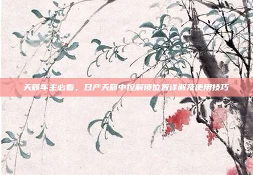 天籁车主必看，日产天籁中控解锁位置详解及使用技巧