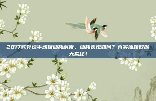 2017款轩逸手动挡油耗解析，油耗表现如何？真实油耗数据大揭秘！