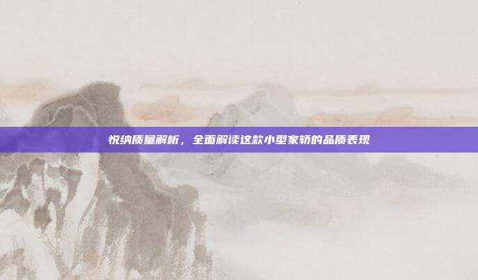 悦纳质量解析，全面解读这款小型家轿的品质表现