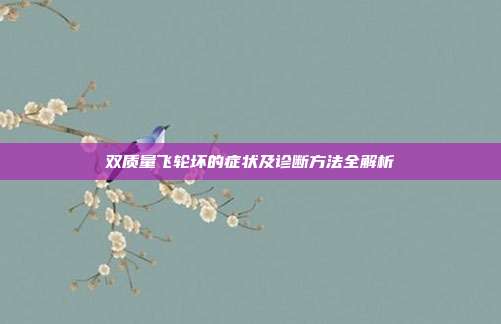 双质量飞轮坏的症状及诊断方法全解析