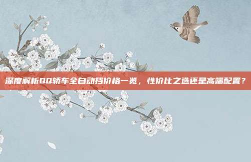 深度解析QQ轿车全自动挡价格一览，性价比之选还是高端配置？