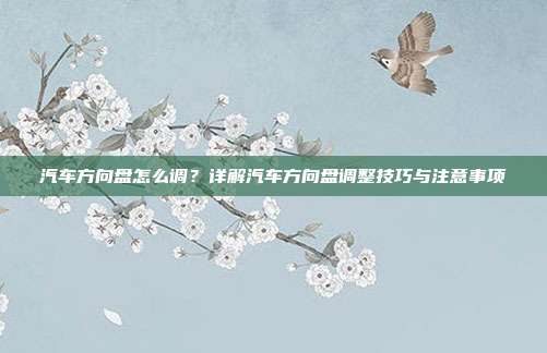 汽车方向盘怎么调？详解汽车方向盘调整技巧与注意事项