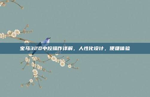 宝马320中控操作详解，人性化设计，便捷体验
