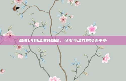 晶锐1.4自动油耗揭秘，经济与动力的完美平衡