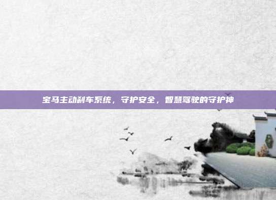 宝马主动刹车系统，守护安全，智慧驾驶的守护神