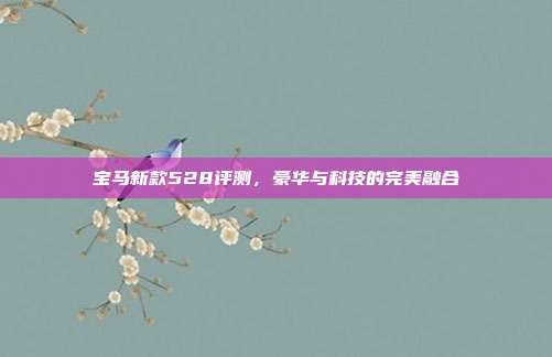 宝马新款528评测，豪华与科技的完美融合