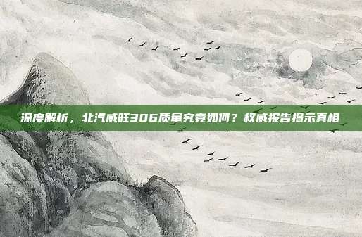 深度解析，北汽威旺306质量究竟如何？权威报告揭示真相
