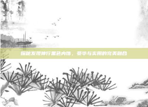 探秘发现神行黑色内饰，豪华与实用的完美融合