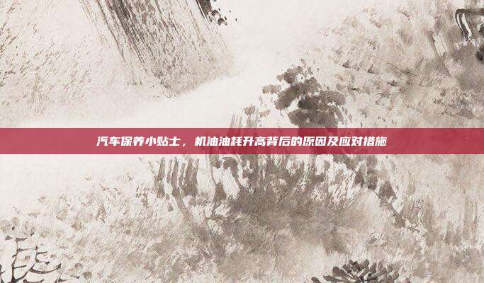 汽车保养小贴士，机油油耗升高背后的原因及应对措施