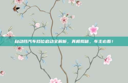 自动挡汽车档位启动全解析，真相揭秘，车主必看！