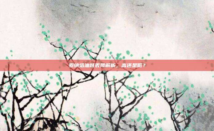 索纳塔油耗表现解析，高还是低？