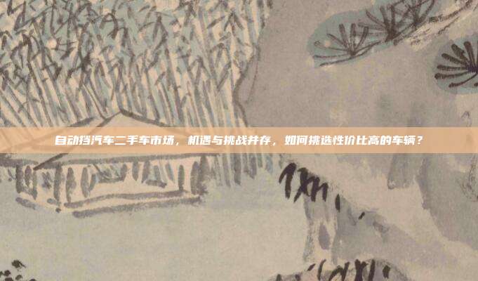自动挡汽车二手车市场，机遇与挑战并存，如何挑选性价比高的车辆？
