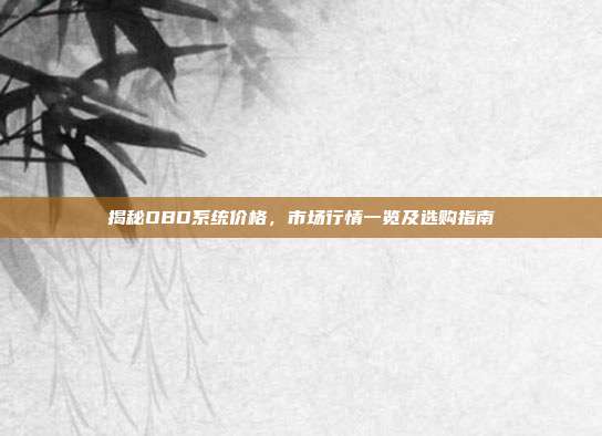 揭秘OBD系统价格，市场行情一览及选购指南