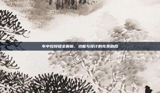 车中控按钮全解析，功能与设计的完美融合
