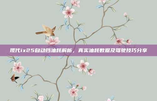现代ix25自动挡油耗解析，真实油耗数据及驾驶技巧分享