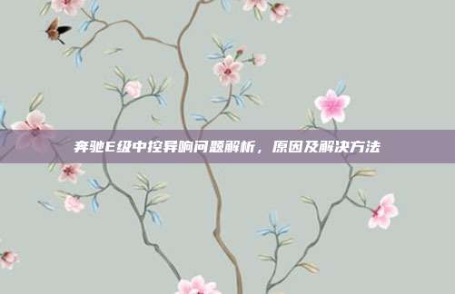 奔驰E级中控异响问题解析，原因及解决方法
