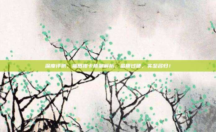 深度评测，福田皮卡质量解析，品质过硬，实至名归！
