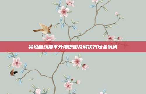 昊锐自动挡不升档原因及解决方法全解析