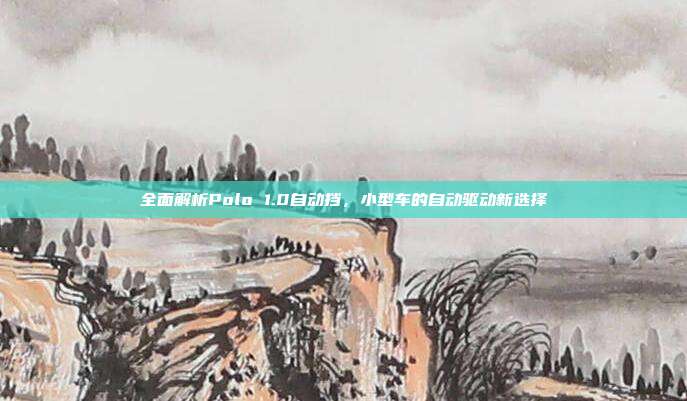 全面解析Polo 1.0自动挡，小型车的自动驱动新选择