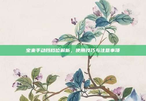 宝来手动挡档位解析，使用技巧与注意事项