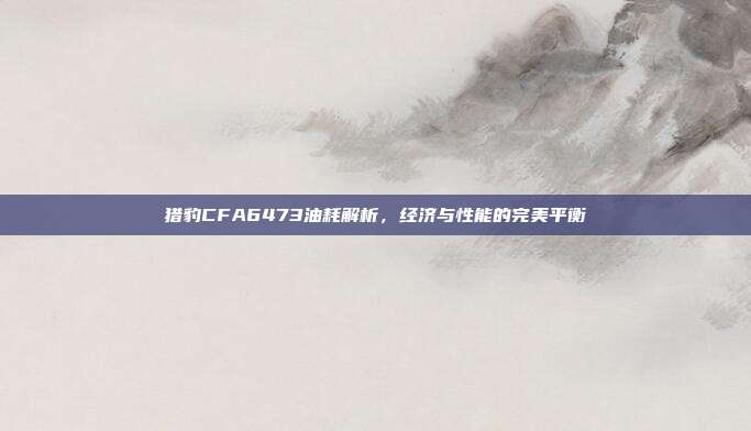 猎豹CFA6473油耗解析，经济与性能的完美平衡