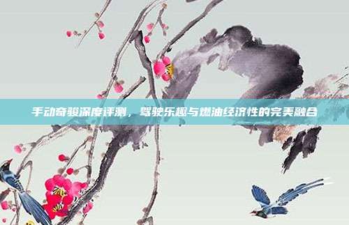手动奇骏深度评测，驾驶乐趣与燃油经济性的完美融合