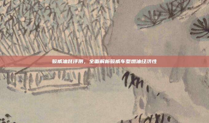 骏威油耗评测，全面解析骏威车型燃油经济性