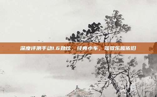 深度评测手动1.6劲炫，经典小车，驾驭乐趣依旧