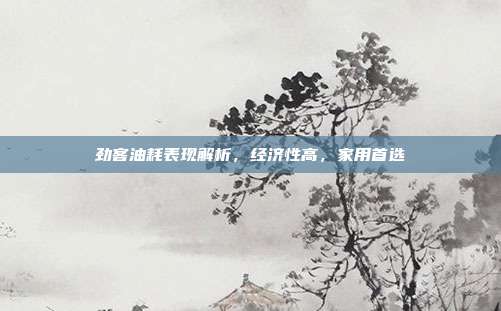 劲客油耗表现解析，经济性高，家用首选