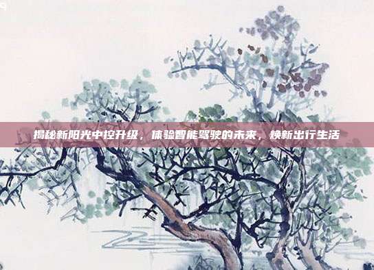 揭秘新阳光中控升级，体验智能驾驶的未来，焕新出行生活