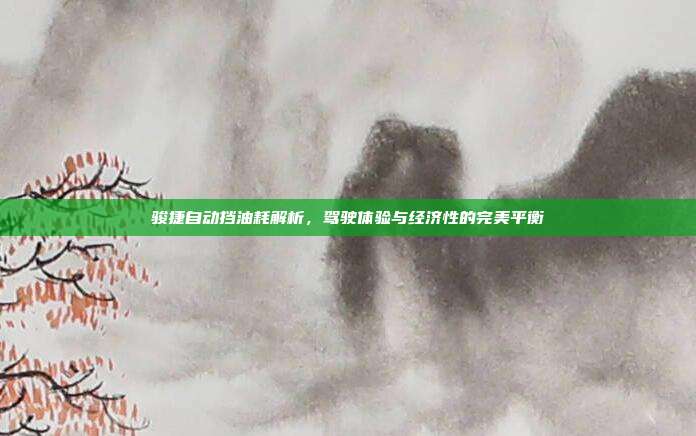 骏捷自动挡油耗解析，驾驶体验与经济性的完美平衡