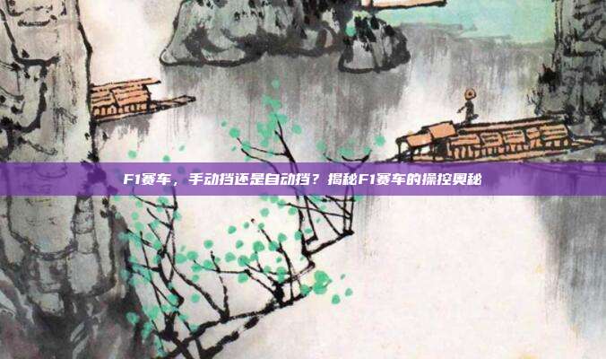 F1赛车，手动挡还是自动挡？揭秘F1赛车的操控奥秘