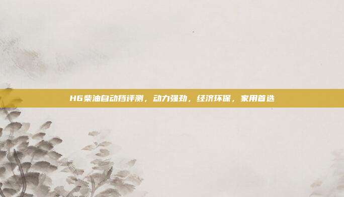 H6柴油自动挡评测，动力强劲，经济环保，家用首选