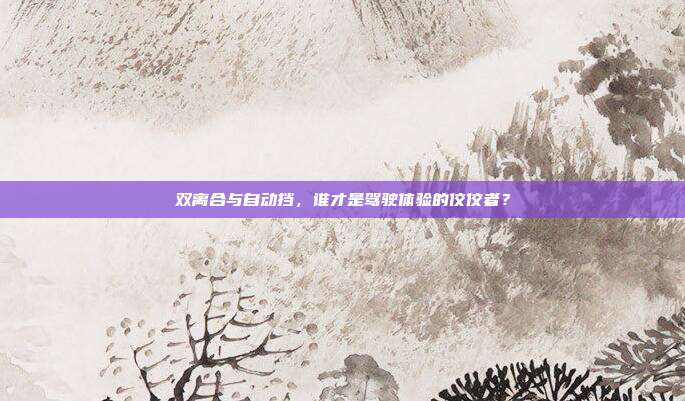 双离合与自动挡，谁才是驾驶体验的佼佼者？
