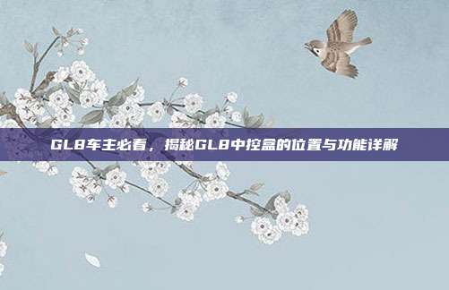 GL8车主必看，揭秘GL8中控盒的位置与功能详解