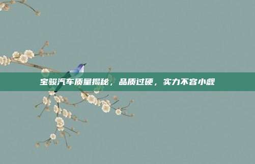 宝骏汽车质量揭秘，品质过硬，实力不容小觑