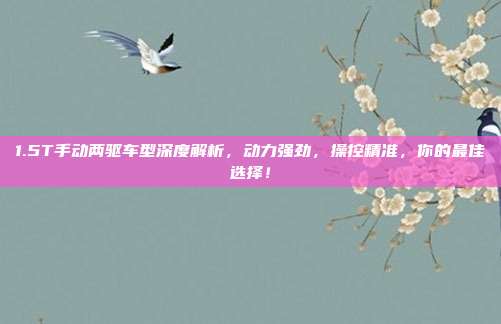 1.5T手动两驱车型深度解析，动力强劲，操控精准，你的最佳选择！
