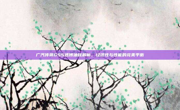 广汽传祺GS5速博油耗解析，经济性与性能的完美平衡