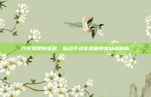 汽车驾驶新体验，自动手动变速箱的优缺点解析