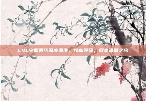 C4L空调系统深度清洗，焕新呼吸，尽享清凉之旅