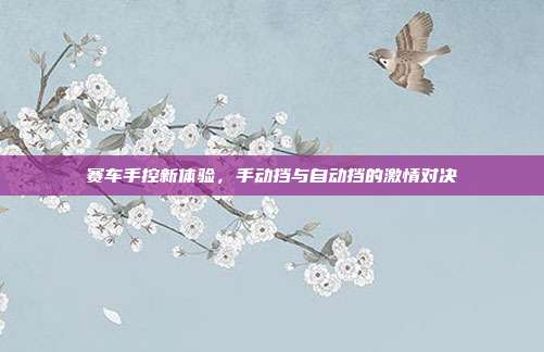 赛车手控新体验，手动挡与自动挡的激情对决