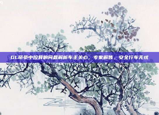 GL帝豪中控异响问题解析车主关心，专家解答，安全行车无忧