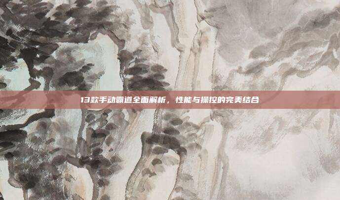 13款手动霸道全面解析，性能与操控的完美结合